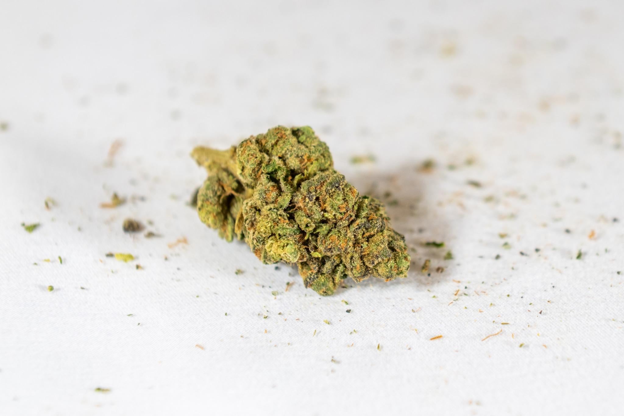 Apples n Bananas - Value Hybrid