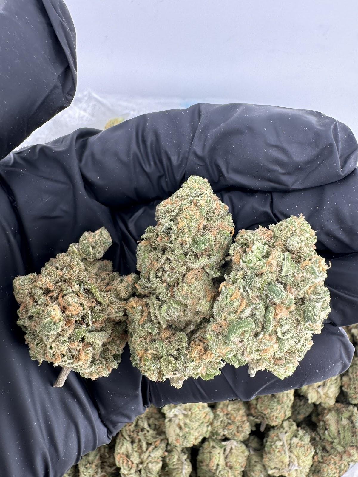 Blue Dream - Premium Hybrid- Online Exclusive!