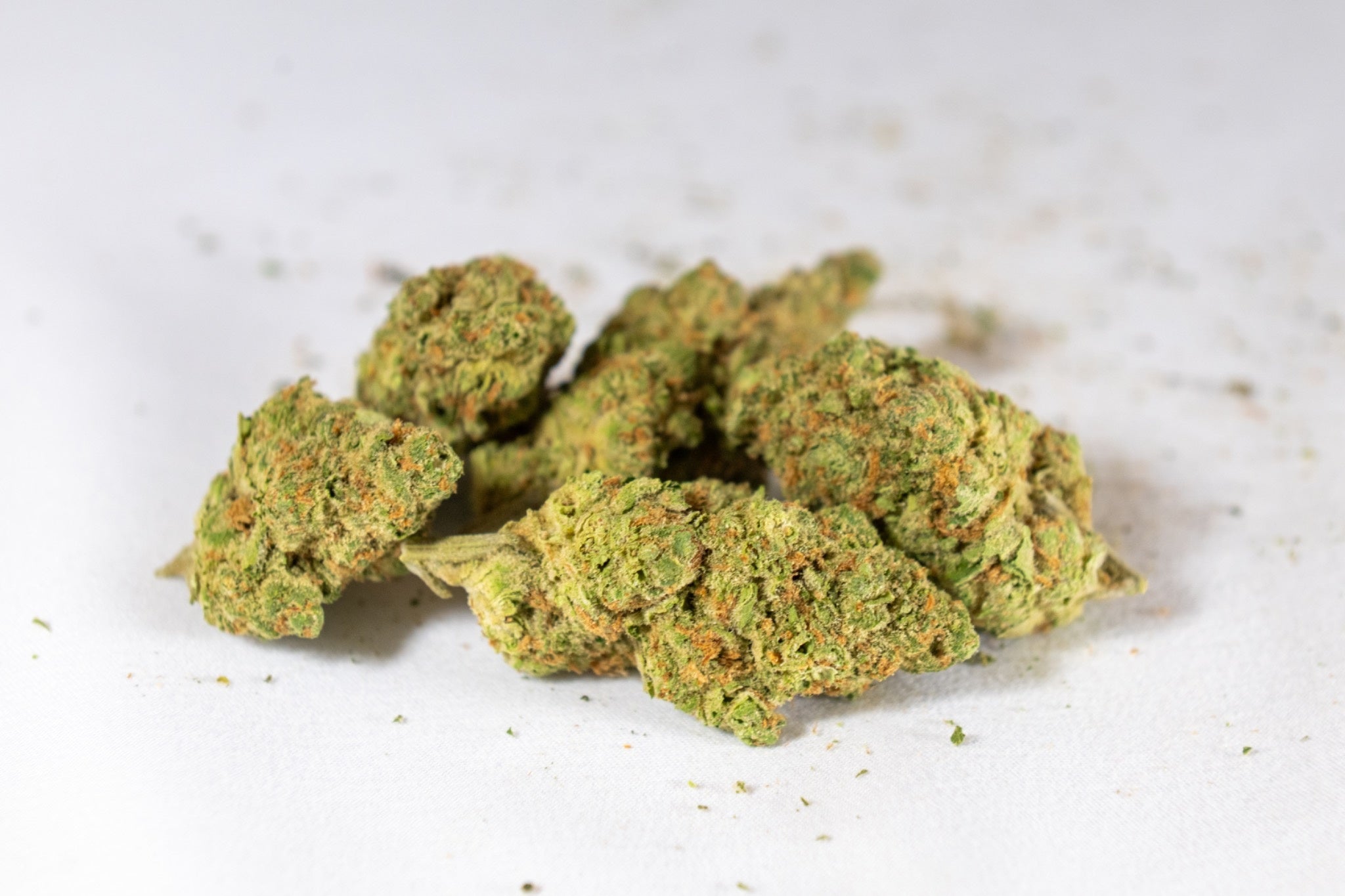 Blue Skunk - Value Indica