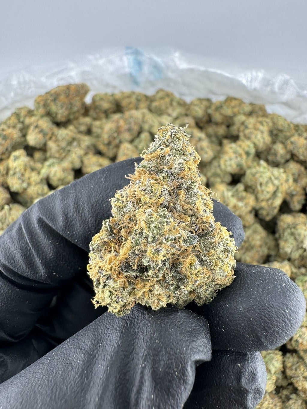 Bubble Bath - Premium Indica- Online Exclusive!