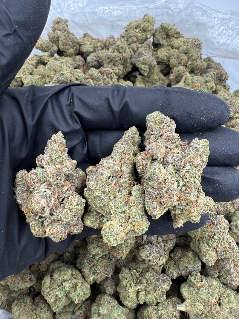 Cherry Ice THCA Flower — Premium Hybrid