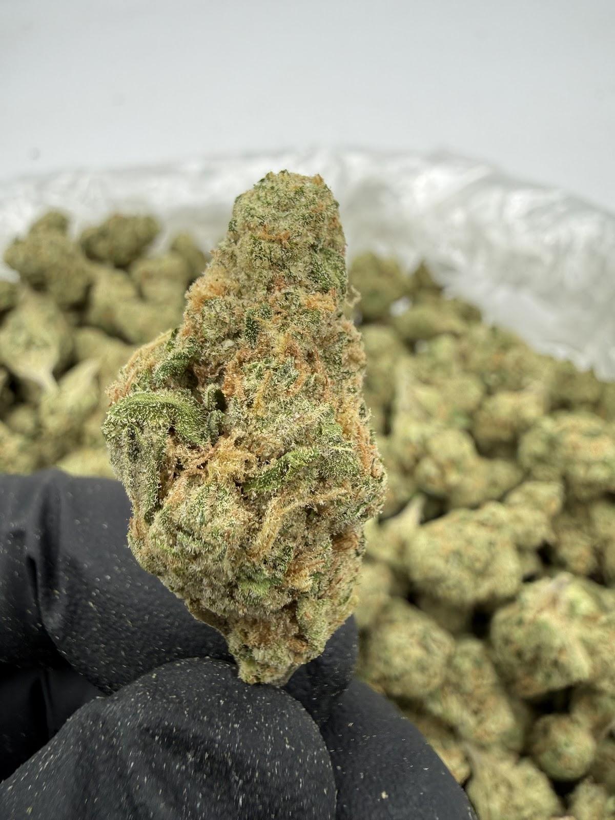 Funk Bomb THCA Flower — Premium Sativa, 32.65% THCA | Mountain