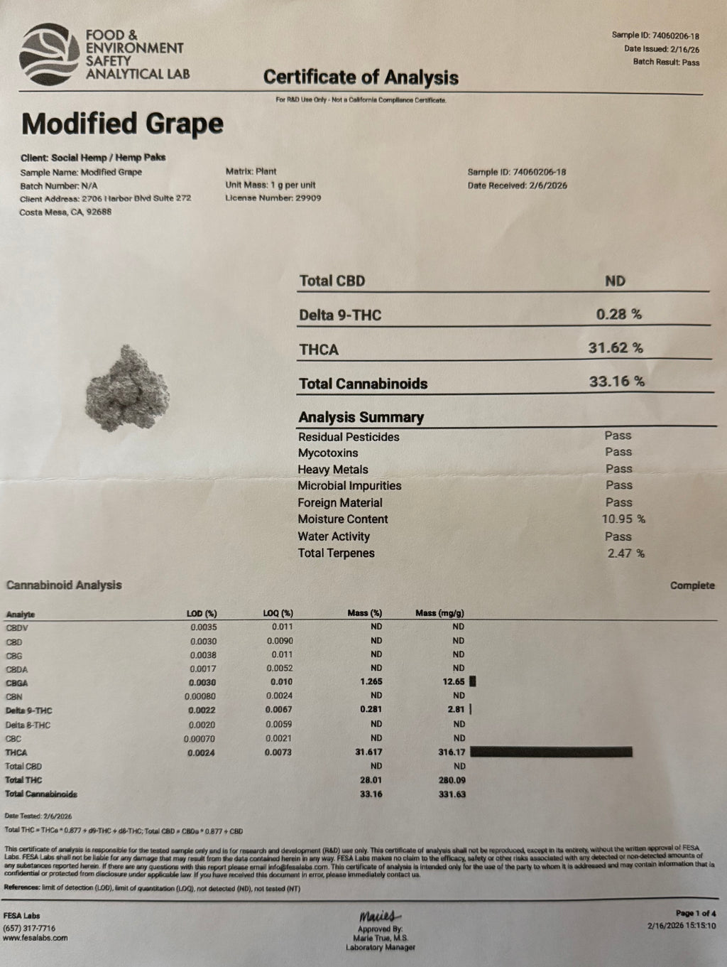 Modified Grapes THCA Flower — Value Indica