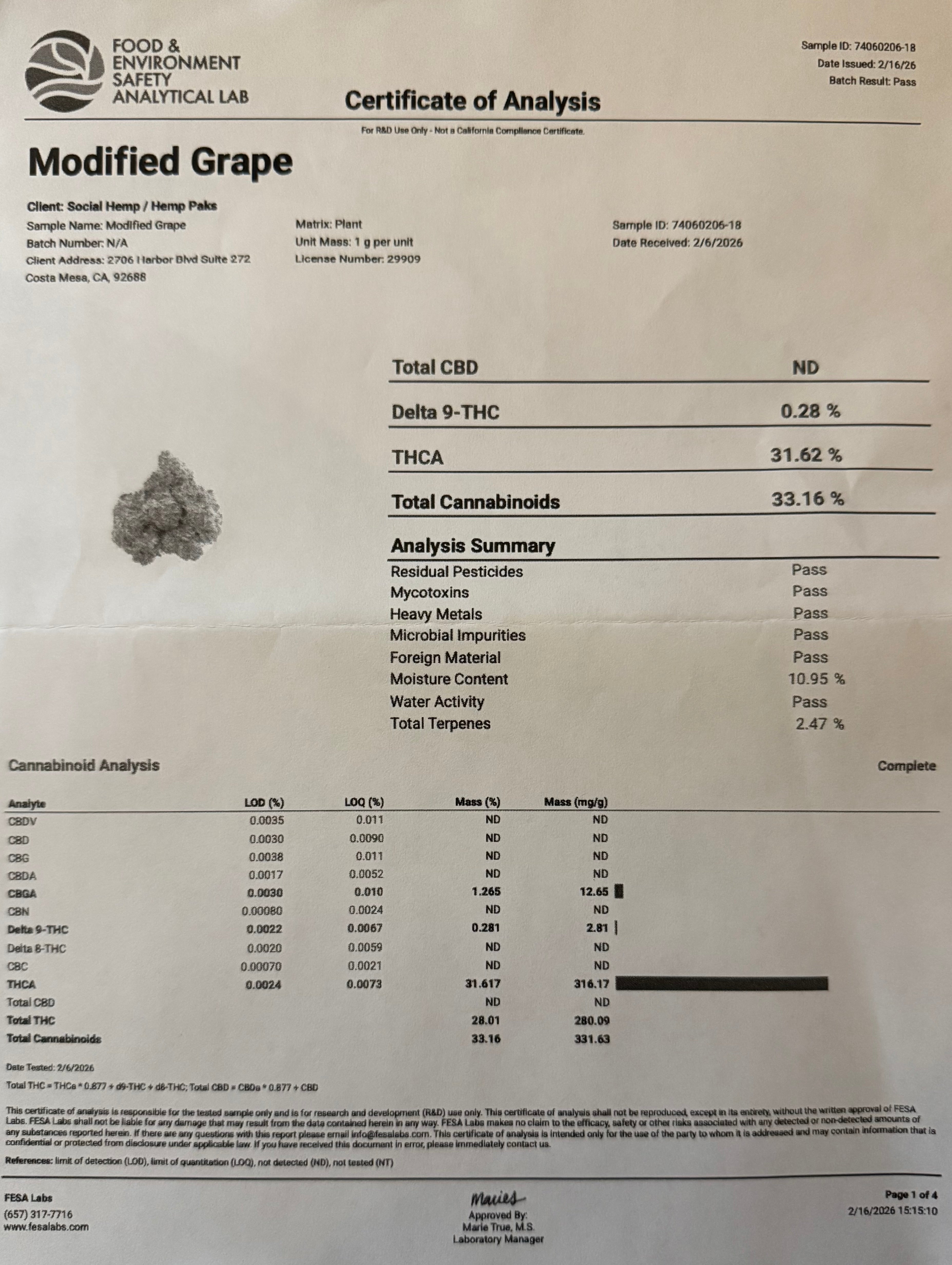 Modified Grapes THCA Flower — Value Indica