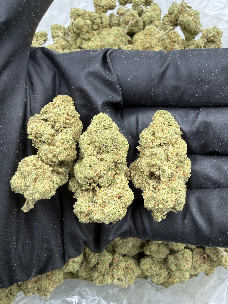 Juicy Fruit THCA Flower — Value Sativa